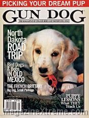 Gun Dog