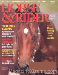 Horse & Rider