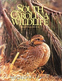 South Carolina Wildlife