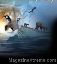 Wildlife Art News