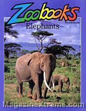 Zoo Books