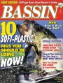 Bassin'