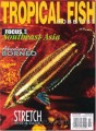 Tropical Fish Hobbyist