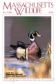 Massachusetts Wildlife