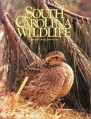 South Carolina Wildlife