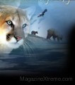 Wildlife Art News