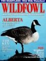 Wildfowl